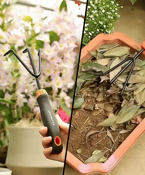 🌳 Gardening Tools Kit (5 Gardening Tool Sets) For Home Gardening @ Just Rs.599/- 🌳